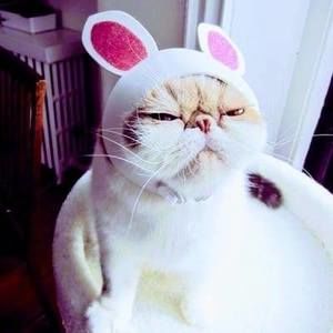 Meet your Posher, Brandy